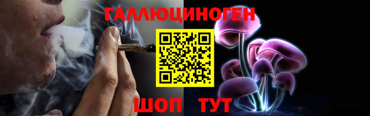Галлюциногенные грибы прущие грибы Ноябрьск